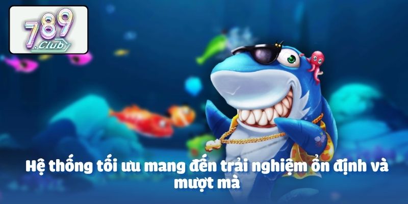 Hệ thống tối ưu mang đến trải nghiệm ổn định và mượt mà