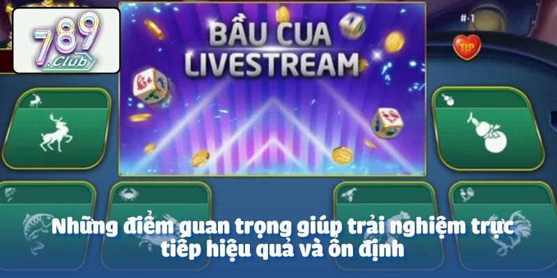 Những điểm quan trọng giúp trải nghiệm trực tiếp hiệu quả và ổn định