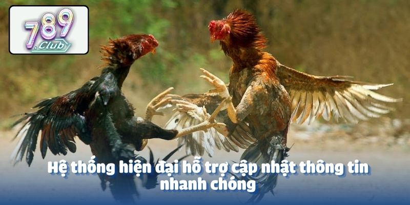 Hệ thống hiện đại hỗ trợ cập nhật thông tin nhanh chóng
