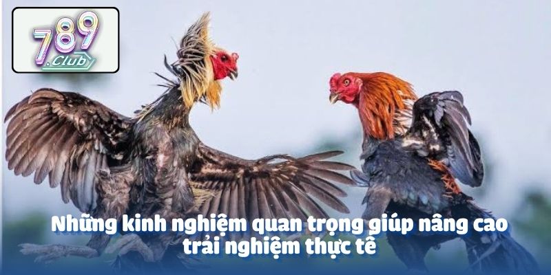 Những kinh nghiệm quan trọng giúp nâng cao trải nghiệm thực tế