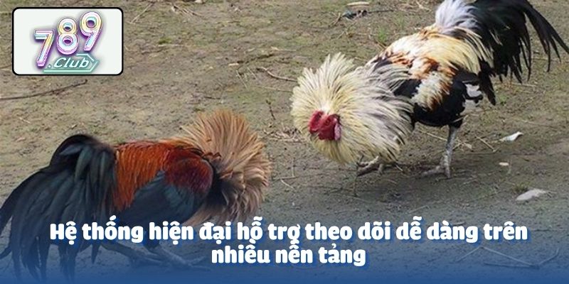 Hệ thống hiện đại hỗ trợ theo dõi dễ dàng trên nhiều nền tảng