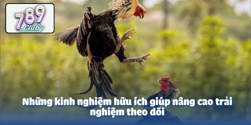 Những kinh nghiệm hữu ích giúp nâng cao trải nghiệm theo dõi